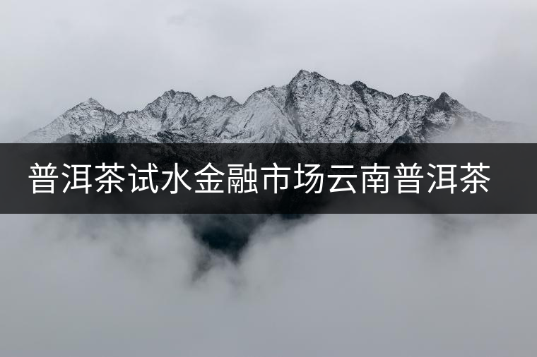 普洱茶試水金融市場(chǎng)云南普洱茶企在北京國際版權(quán)交易中心掛牌上市