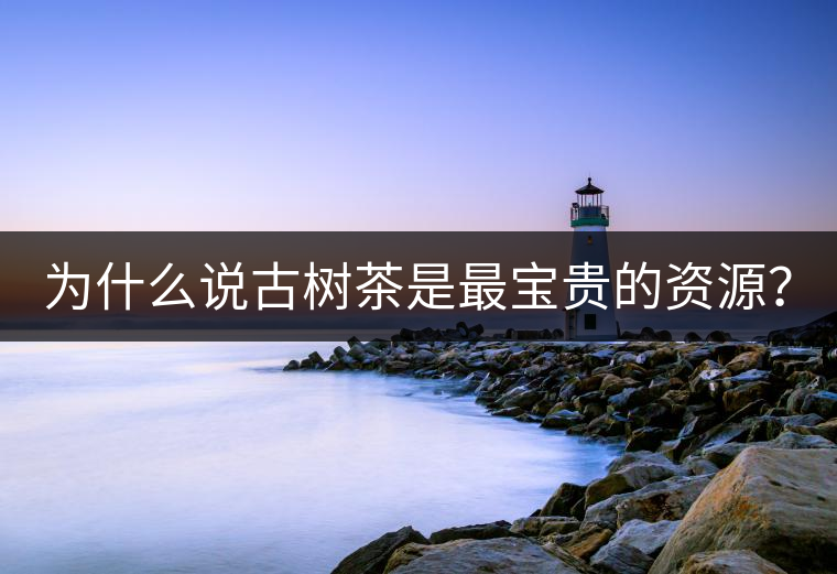 為什么說古樹茶是最寶貴的資源？