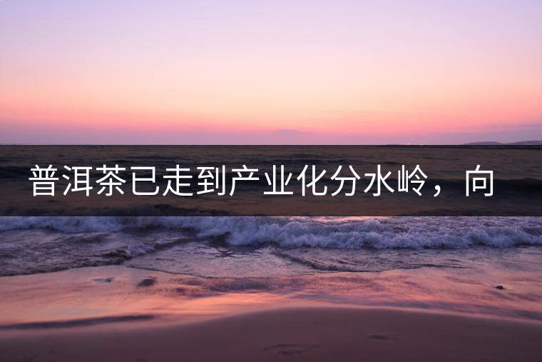 普洱茶已走到產(chǎn)業(yè)化分水嶺，向左還是向右？