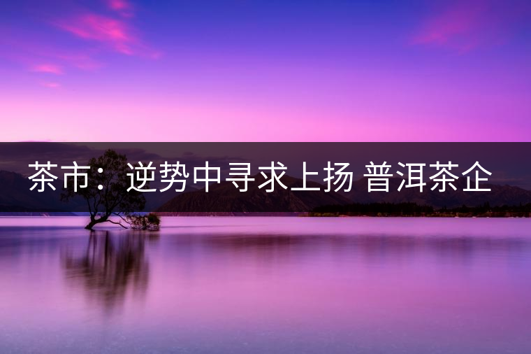 茶市：逆勢(shì)中尋求上揚(yáng) 普洱茶企靠什么打贏這場(chǎng)翻身仗？