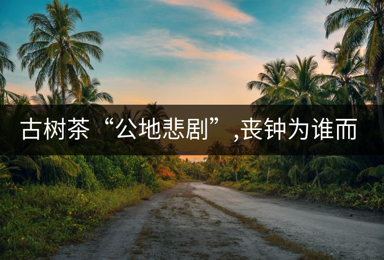 古樹茶“公地悲劇”,喪鐘為誰而鳴！