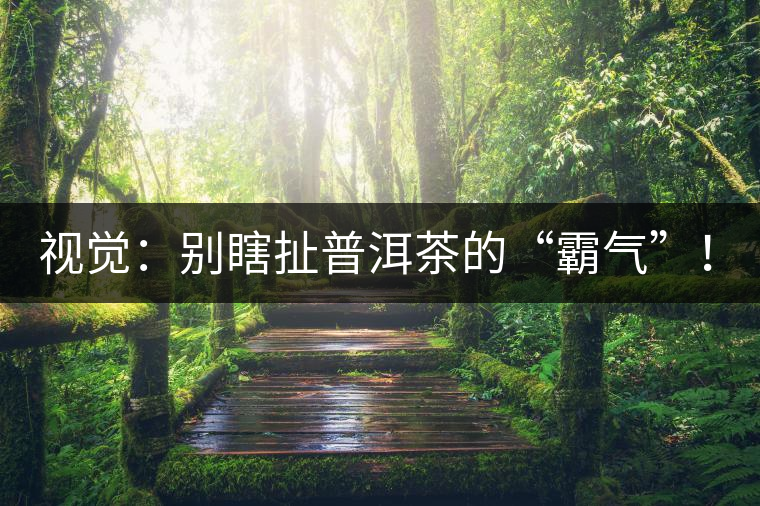 視覺：別瞎扯普洱茶的“霸氣”！偽大師！