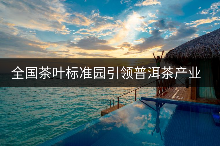 全國茶葉標(biāo)準(zhǔn)園引領(lǐng)普洱茶產(chǎn)業(yè)發(fā)展