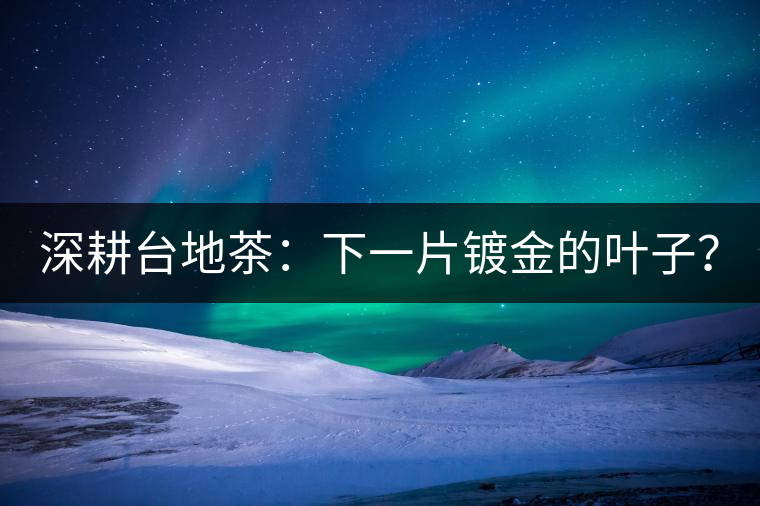 深耕臺(tái)地茶：下一片鍍金的葉子？