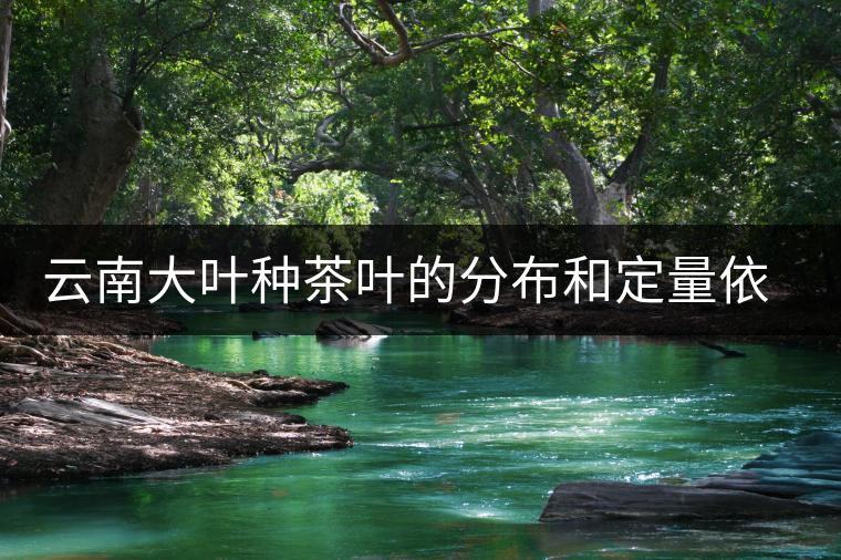 云南大葉種茶葉的分布和定量依據(jù) 云南大葉種茶葉的分布和定量依據(jù)