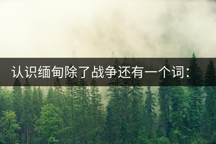 認識緬甸除了戰(zhàn)爭還有一個詞:茶 認識緬甸除了戰(zhàn)爭還有一個詞:茶
