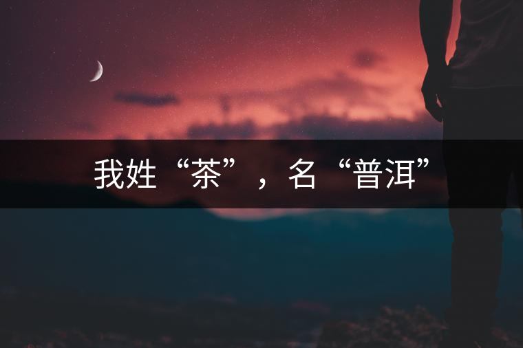 我姓“茶”，名“普洱”