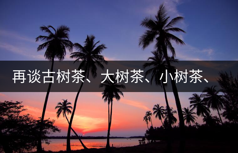 再談古樹(shù)茶、大樹(shù)茶、小樹(shù)茶、臺(tái)樹(shù)茶…