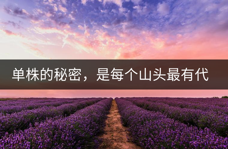 單株的秘密，是每個山頭最有代表性的味道？