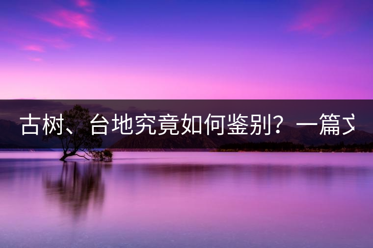古樹、臺(tái)地究竟如何鑒別？一篇文章說透！