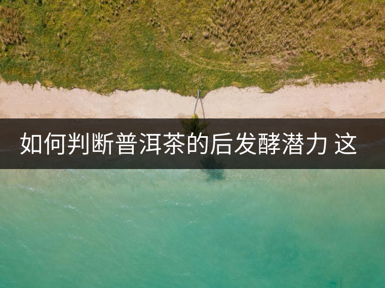 如何判斷普洱茶的后發(fā)酵潛力 這幾個(gè)要素你必須要知道 如何判斷普洱茶的后發(fā)酵潛力 這幾個(gè)要素你必須要知道