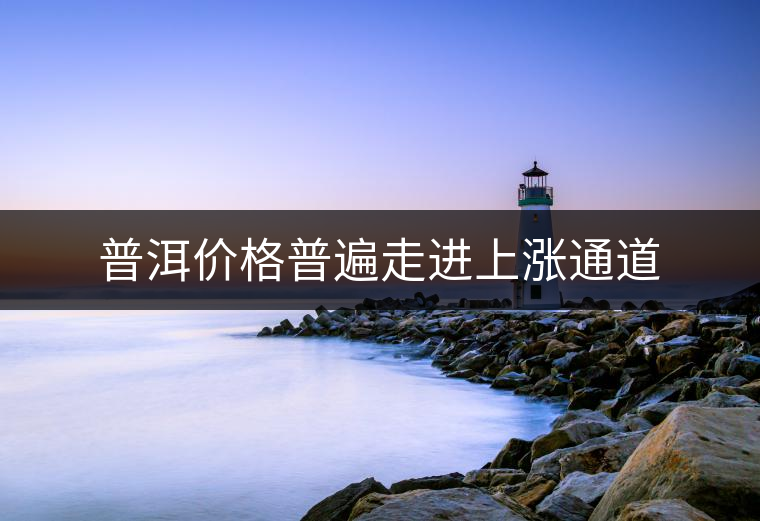 普洱價格普遍走進(jìn)上漲通道 普洱價格普遍走進(jìn)上漲通道