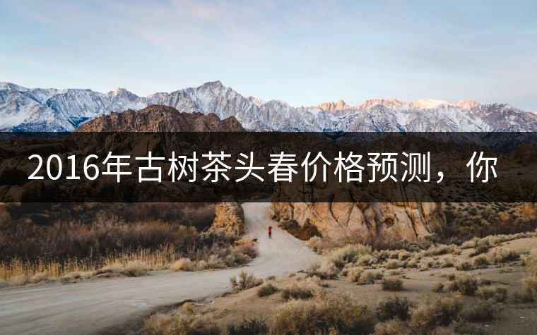 2016年古樹(shù)茶頭春價(jià)格預(yù)測(cè)，你怎么看？