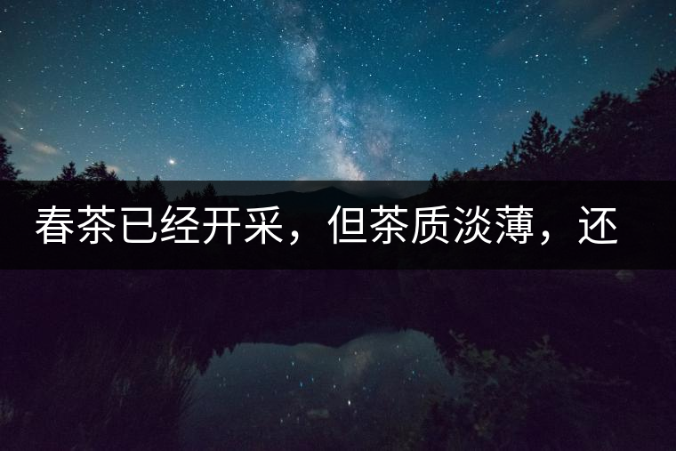 春茶已經(jīng)開采，但茶質(zhì)淡薄，還需一兩周