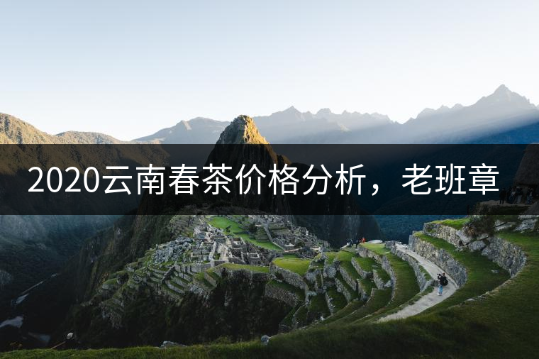 2020云南春茶價格分析，老班章依然將獨占鰲頭？
