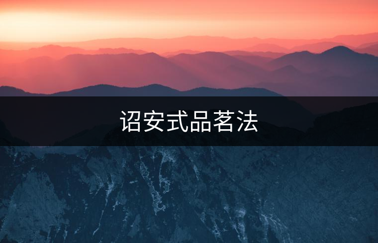 詔安式品茗法 詔安式品茗法