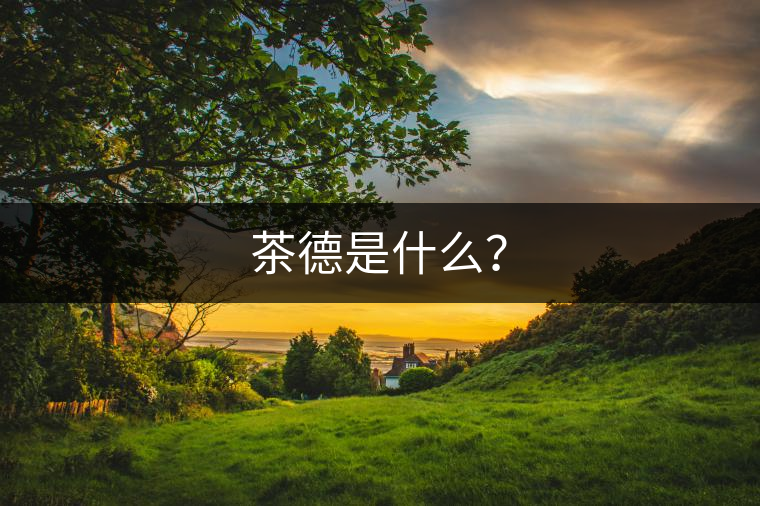 茶德是什么？
