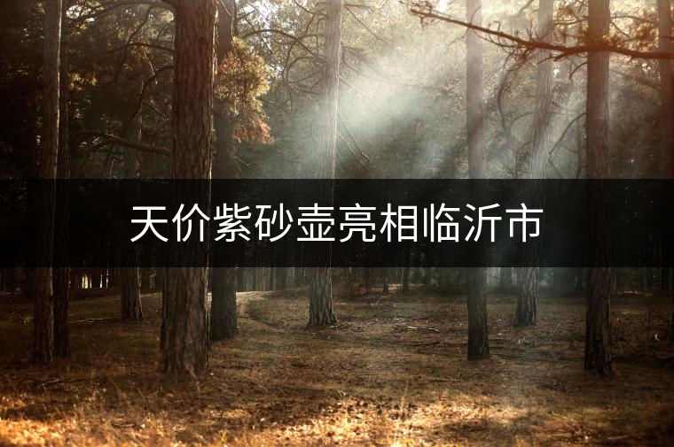 天價(jià)紫砂壺亮相臨沂市 天價(jià)紫砂壺亮相臨沂市