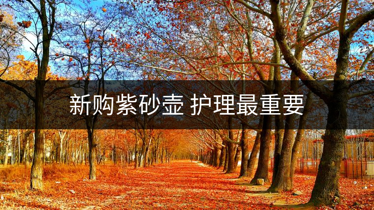 新購紫砂壺 護(hù)理最重要