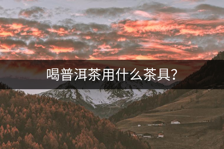 喝普洱茶用什么茶具？