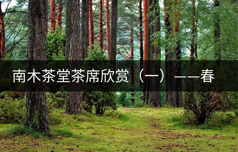 南木茶堂茶席欣賞（一）——春曉