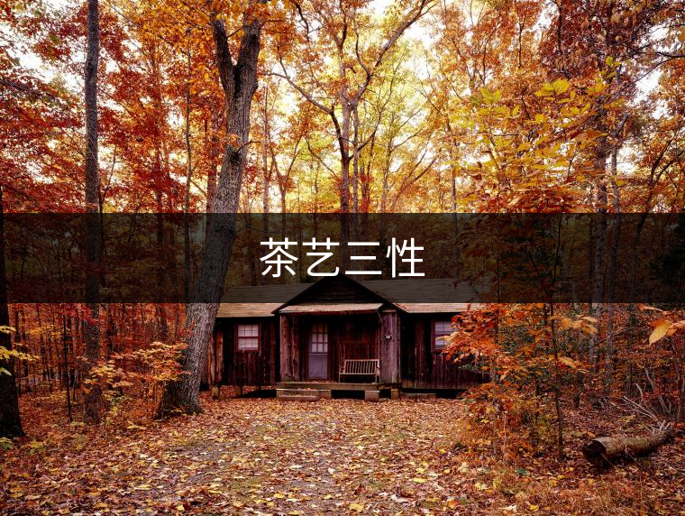 茶藝三性