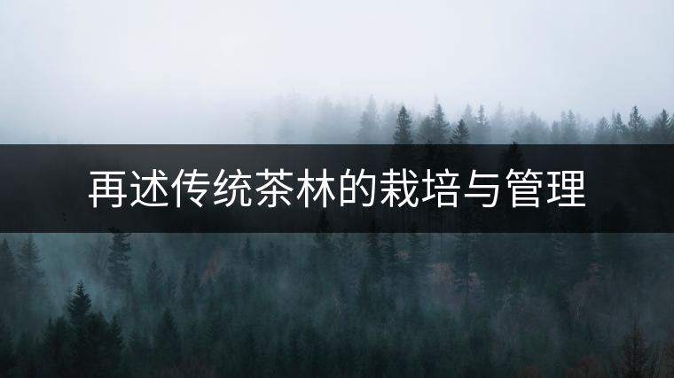 再述傳統(tǒng)茶林的栽培與管理 再述傳統(tǒng)茶林的栽培與管理