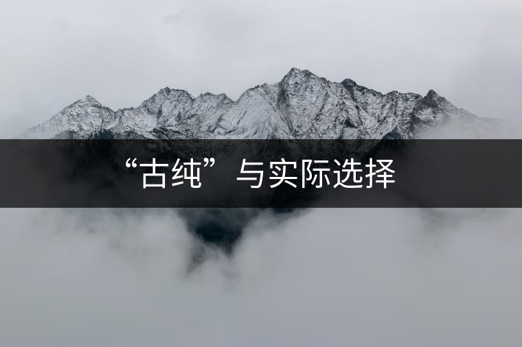 “古純”與實(shí)際選擇 “古純”與實(shí)際選擇