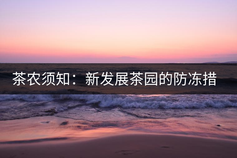 茶農(nóng)須知:新發(fā)展茶園的防凍措施 茶農(nóng)須知:新發(fā)展茶園的防凍措施