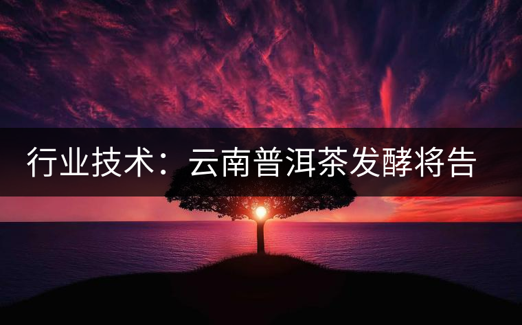 行業(yè)技術：云南普洱茶發(fā)酵將告別手工翻堆