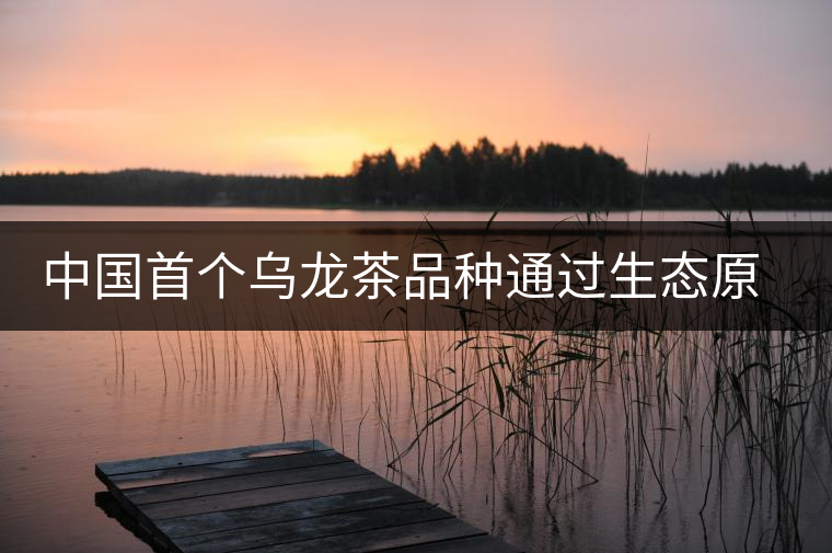 中國首個(gè)烏龍茶品種通過生態(tài)原產(chǎn)地產(chǎn)品保護(hù)現(xiàn)場(chǎng)評(píng)定 中國首個(gè)烏龍茶品種通過生態(tài)原產(chǎn)地產(chǎn)品保護(hù)現(xiàn)場(chǎng)評(píng)定