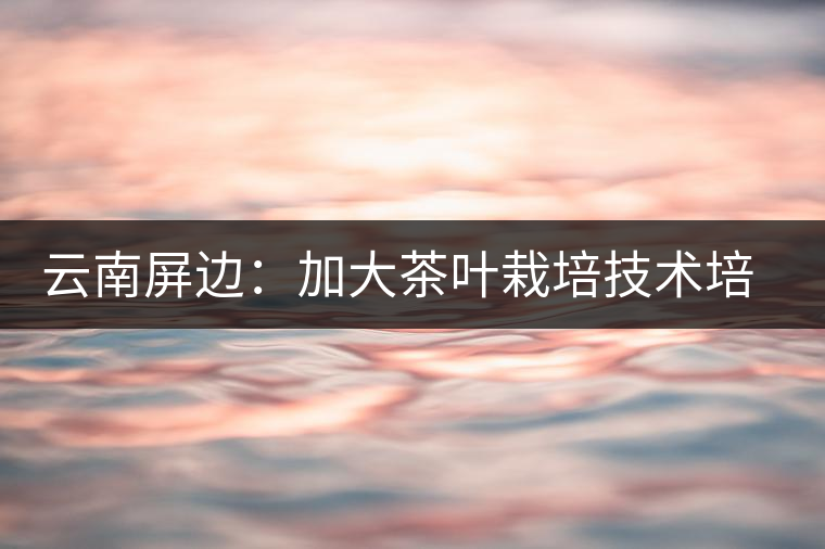 云南屏邊:加大茶葉栽培技術(shù)培訓(xùn) 云南屏邊:加大茶葉栽培技術(shù)培訓(xùn)