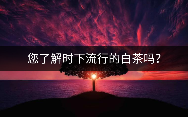 您了解時下流行的白茶嗎？