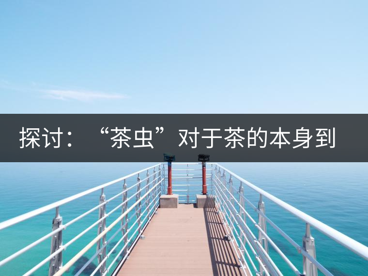 探討：“茶蟲(chóng)”對(duì)于茶的本身到底是好是壞？