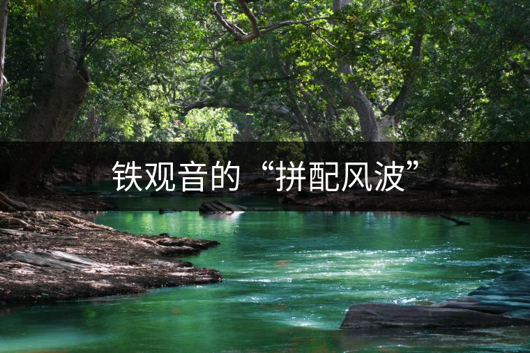 鐵觀音的“拼配風(fēng)波”