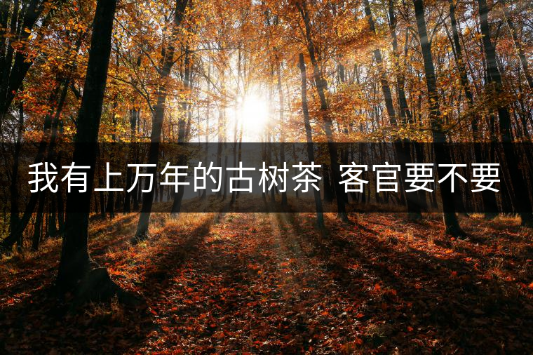 我有上萬年的古樹茶  客官要不要嘗嘗？