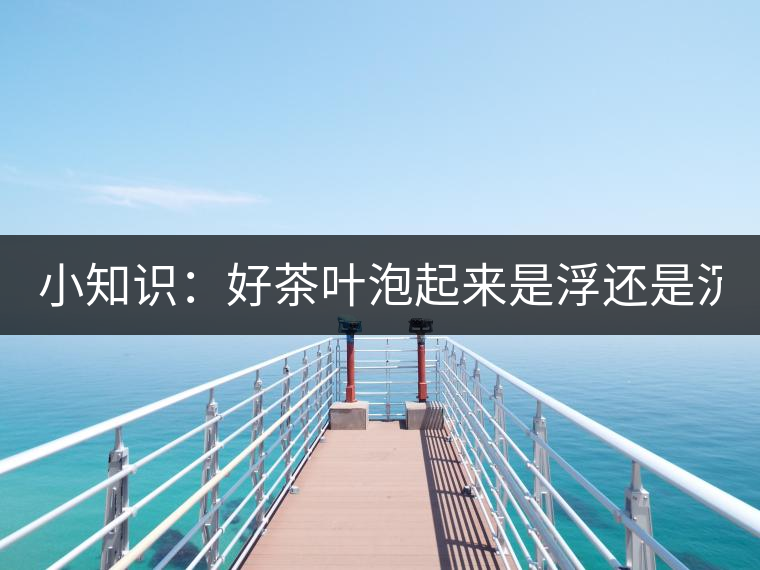 小知識(shí)：好茶葉泡起來是浮還是沉？