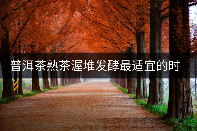 普洱茶熟茶渥堆發(fā)酵最適宜的時期是什么時候？