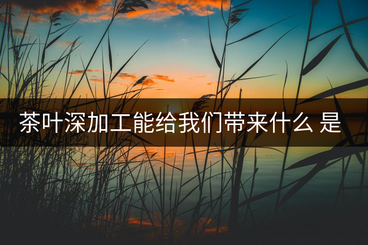 茶葉深加工能給我們帶來(lái)什么 是利還是弊呢？