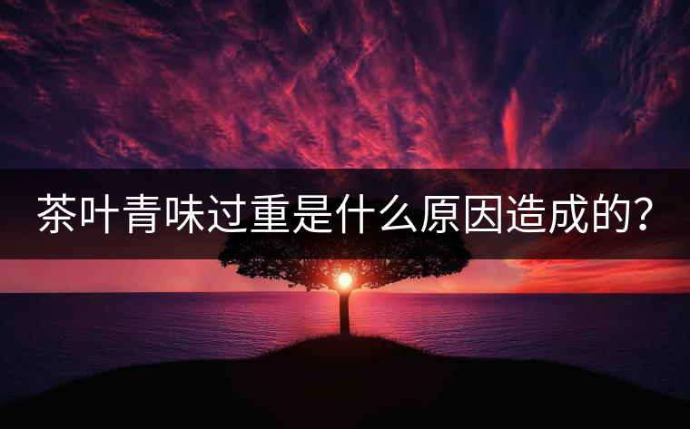 茶葉青味過重是什么原因造成的？