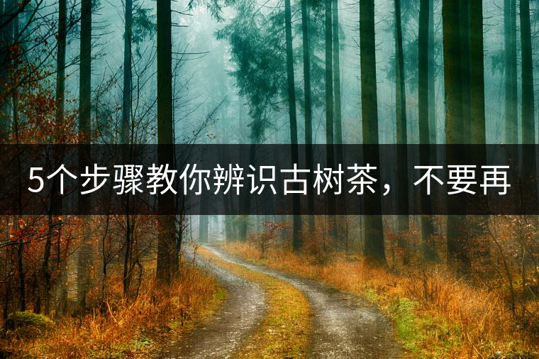 5個(gè)步驟教你辨識(shí)古樹茶，不要再被騙了！
