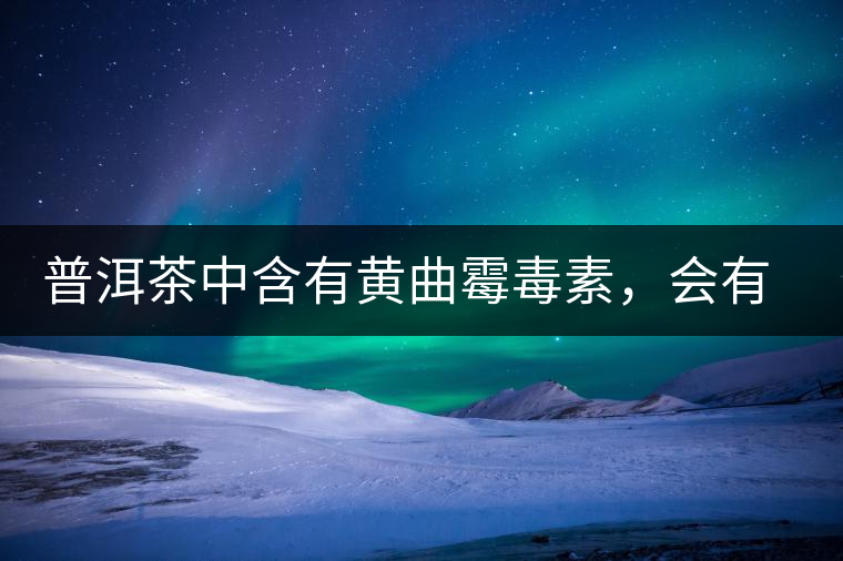 普洱茶中含有黃曲霉毒素，會(huì)有致癌的危險(xiǎn)？終于有明確的答案了