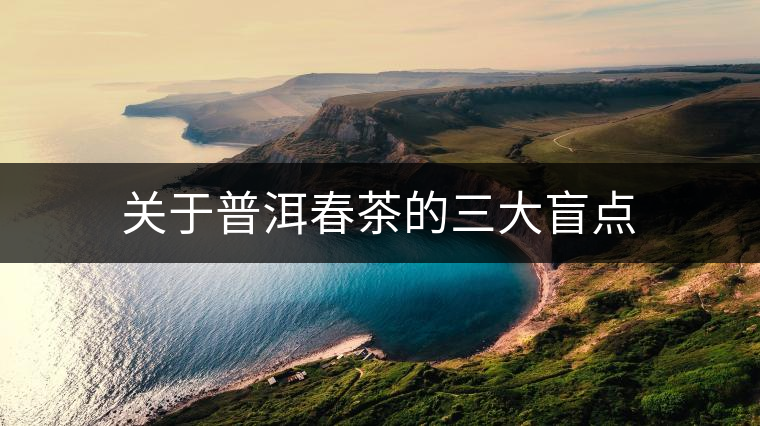 關(guān)于普洱春茶的三大盲點(diǎn)