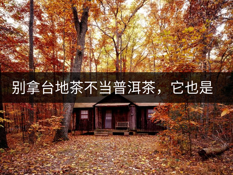 別拿臺地茶不當(dāng)普洱茶,它也是大葉種喬木 別拿臺地茶不當(dāng)普洱茶,它也是大葉種喬木
