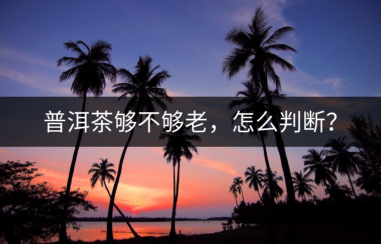 普洱茶夠不夠老，怎么判斷？