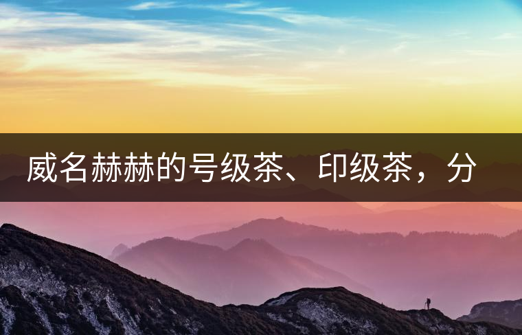 威名赫赫的號(hào)級(jí)茶、印級(jí)茶，分別是些什么普洱茶？