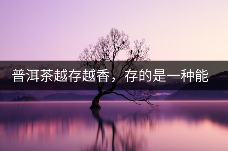 普洱茶越存越香，存的是一種能量