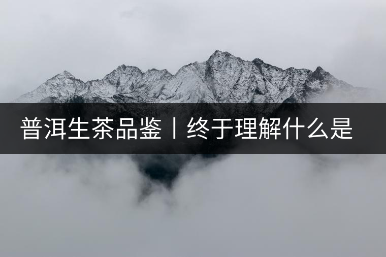 普洱生茶品鑒丨終于理解什么是“醇厚、耐泡，回甘”了