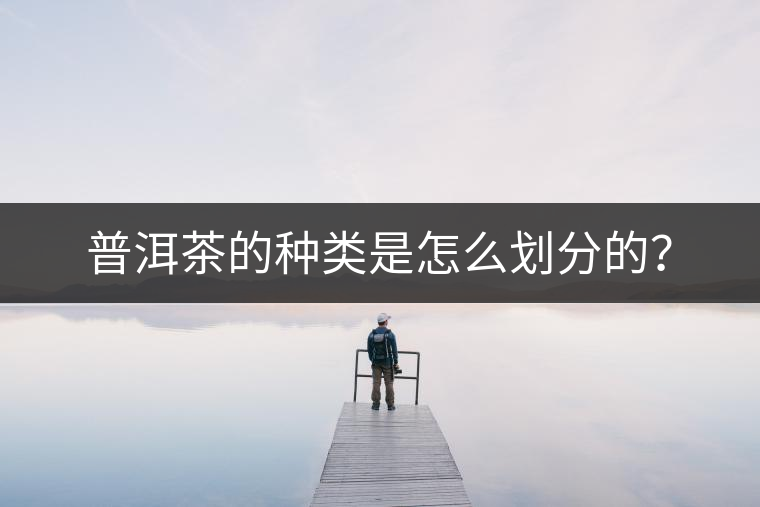 普洱茶的種類是怎么劃分的？