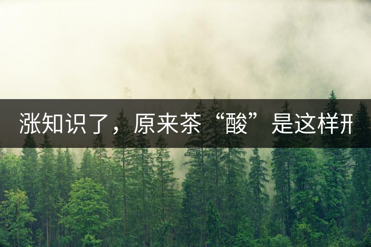漲知識(shí)了，原來茶“酸”是這樣形成的！